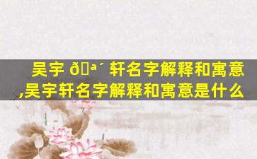 吴宇 🪴 轩名字解释和寓意,吴宇轩名字解释和寓意是什么